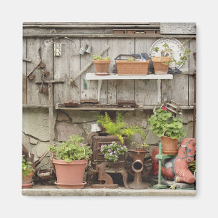 Decoraties op houten hek, Catalina Island, Magneet
