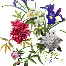 decoratieve bloemenmap