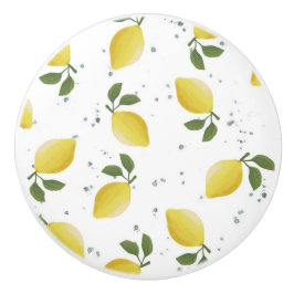 Decoratieve citrus keramische knoppen