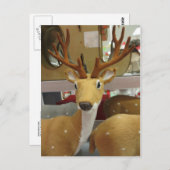 Decoratieve deer briefkaart (Voorkant / Achterkant)