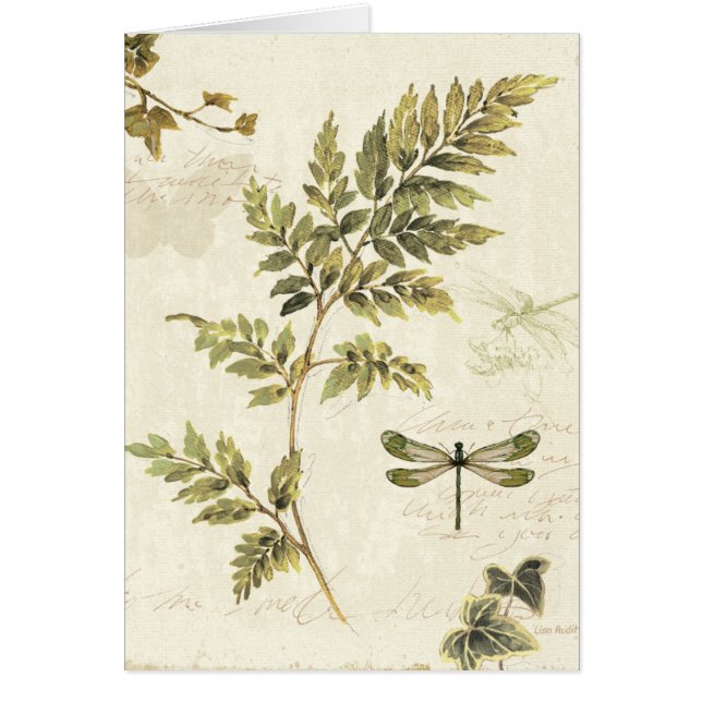 Decoratieve Ferns en een Dragonfly (Voorkant)