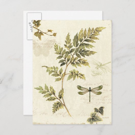 Decoratieve Ferns en een Dragonfly Briefkaart (Voorkant / Achterkant)