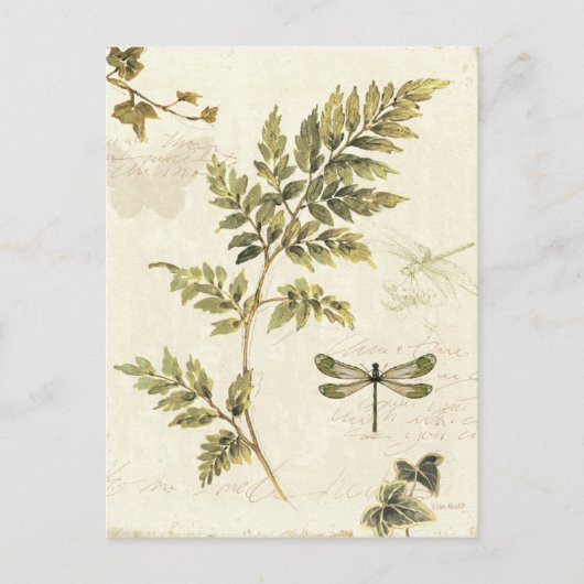 Decoratieve Ferns en een Dragonfly Briefkaart (Voorkant)