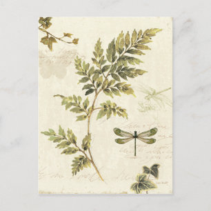 Decoratieve Ferns en een Dragonfly Briefkaart
