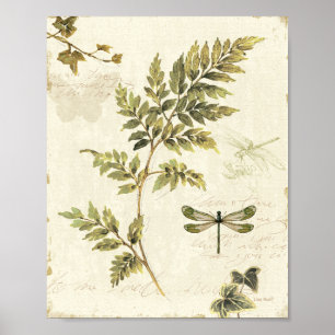 Decoratieve Ferns en een Dragonfly Poster
