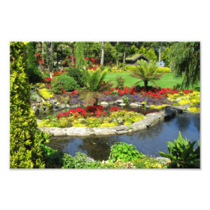 Decoratieve foto van het prachtige park afdruk