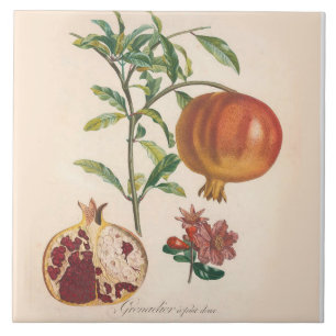 Decoratieve keramische tapijten met granaatvormer tegeltje