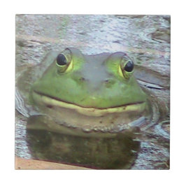 Decoratieve kikkervishoop tegeltje