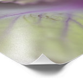 Decoratieve kool foto afdruk (Hoek)