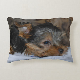 decoratieve kussen met een kleine hond