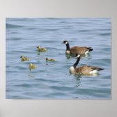 Decoratieve Posters (Voorkant)