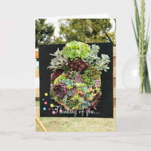 Decoratieve succulenten kaart