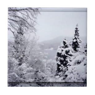 Decoratieve tegel van het meer Nojiri Tegeltje