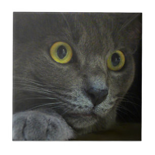 Decoratieve tegel voor intensiteit tegeltje