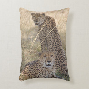 Décoratifs Deux Coussins Cheetahs