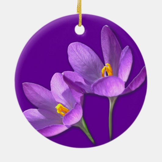 Décoration de l'ornement de crocus aux fleurs viol (Dos)