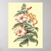décoration de maison de bureau d'Hibiscus Splendid (Devant)