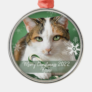 décoration de Noël en métal de chat