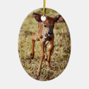 Décoration En Céramique 3 vieux cerfs communs de Nyala de bébé de jour