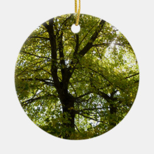 Décoration En Céramique À l'intérieur d'un érable jaune automne