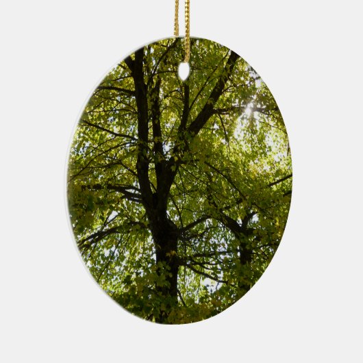 Décoration En Céramique À l'intérieur d'une érablière jaune automne (Droite)