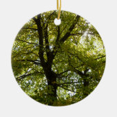 Décoration En Céramique À l'intérieur d'une érablière jaune automne (Devant)