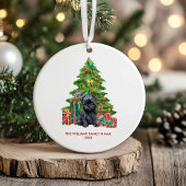 Décoration En Céramique Affenpinscher Chien Noël personnalisé