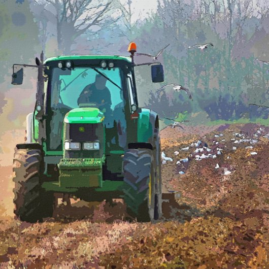 DÉCORATION EN CÉRAMIQUE AGRICULTURE