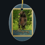 Décoration En Céramique Allegany State Park Vintage voyage Bear<br><div class="desc">Vintage ornement de voyage Allegany State Park image avec un ours noir debout sur ses pattes arrières,  regardant dans la forêt verte.</div>