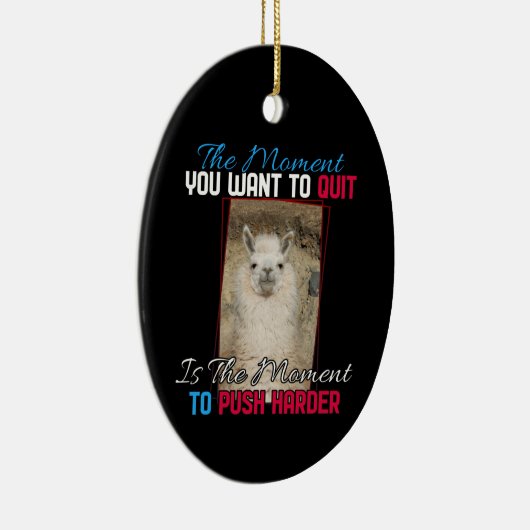 Décoration En Céramique Alpaca Llama - Push Harder Encouragement (Droite)