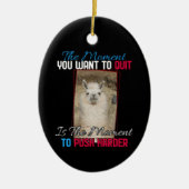 Décoration En Céramique Alpaca Llama - Push Harder Encouragement (Devant)