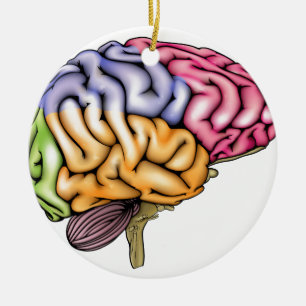 Décoration En Céramique Anatomie d'esprit humain en coupe
