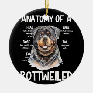 Décoration En Céramique Anatomie D'Un Rottweiler Pour Les Amoureux de les
