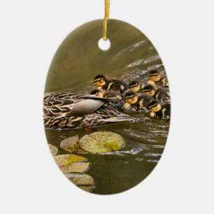 Décoration En Céramique Animal - Canards - Nager comme un canard