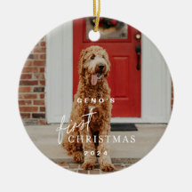 Animaux de première fête de Noël