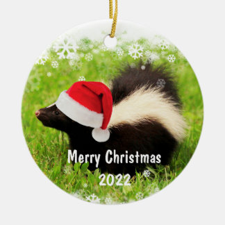 Décoration En Céramique Année personnalisée Skunk Christmas Céramique Orne