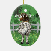 Décoration En Céramique Appaloosa Pony (Dos)