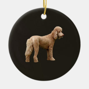 Décoration En Céramique Apricot Poodle