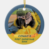 Décoration En Céramique Ara Parrot Pet 1er Noël Ribbon Photo (Devant)