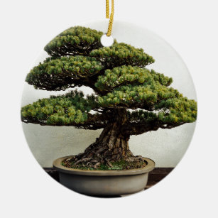 Décoration En Céramique Arbre de bonsaïs de White Pine de Japonais