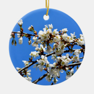 Décoration En Céramique Arbre de printemps blanc fleuri blanc