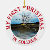 Décoration En Céramique Arbre monétaire en un jour venteux (Dos)