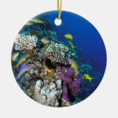 Décoration En Céramique Around Small Coral (Devant)