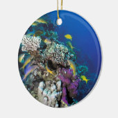 Décoration En Céramique Around Small Coral (Gauche)