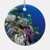 Décoration En Céramique Around Small Coral (Dos)