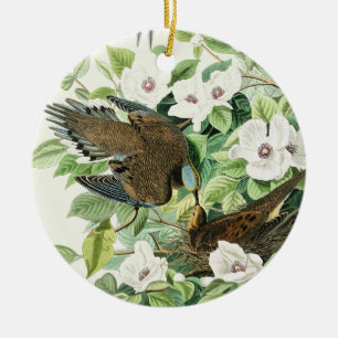 Décoration En Céramique Art vintage Audubon Tourterelle triste Fleur d'ois