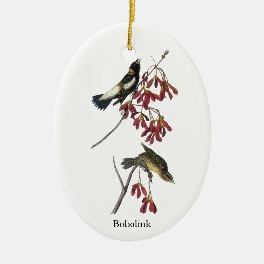 Décoration En Céramique Audubon Bobolink (Devant)