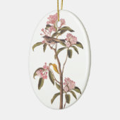 Décoration En Céramique Audubon Cuvier's Kinglet Mystery Bird (Gauche)