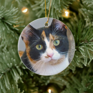 Décoration En Céramique Bandit le chat Calico