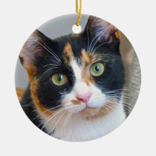 Décoration En Céramique Bandit the Calico Cat Ceramic Ornament